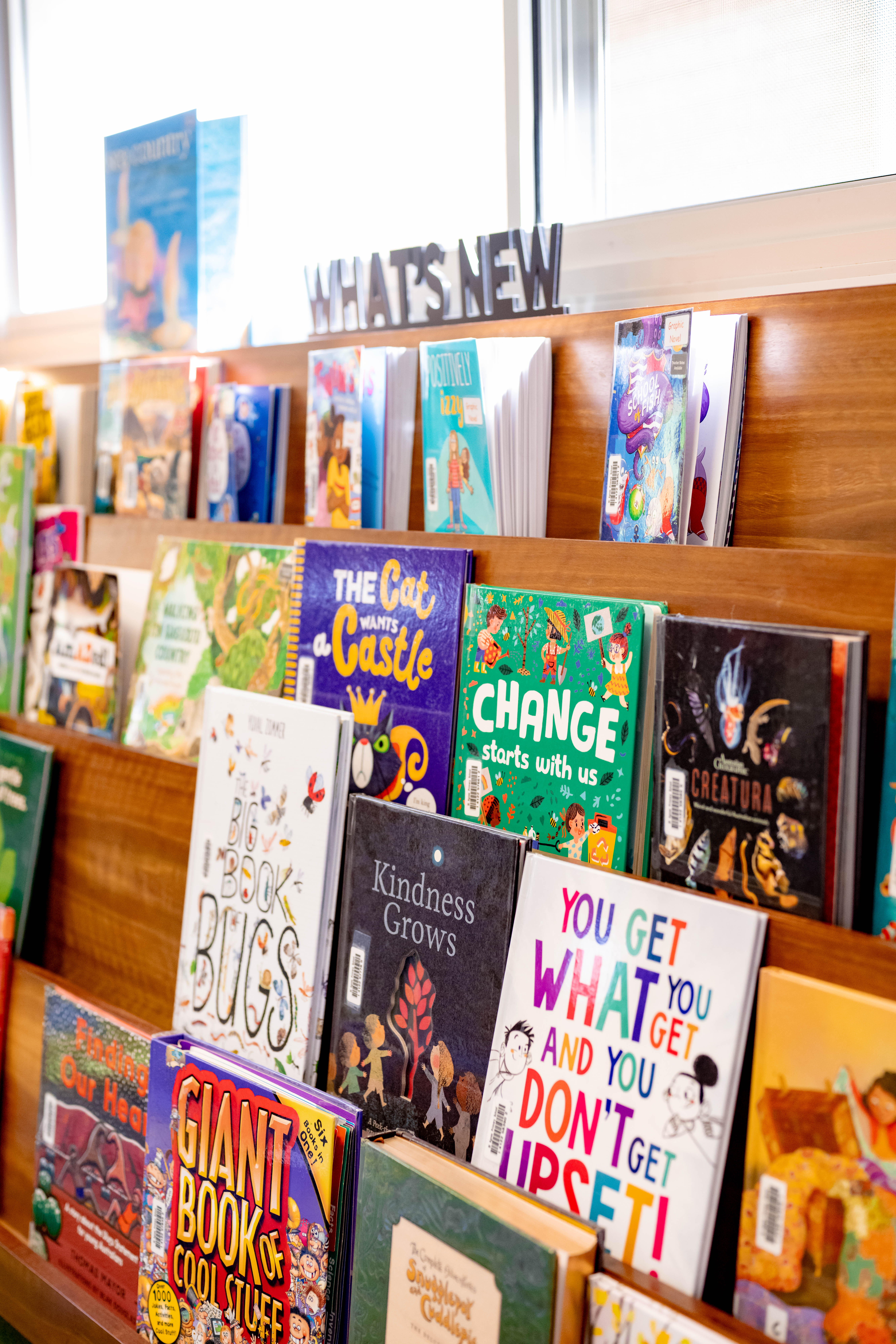 Classroom book display with children’s books on shelves and a “What’s new” sign above.